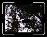 equinox76 (58) * 1632 x 1224 * (1.29MB)